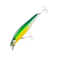 EXSENCE　サイレントアサシン　99F　AR－C